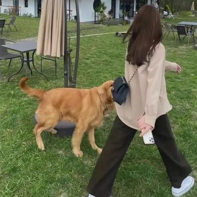 诈骗女神