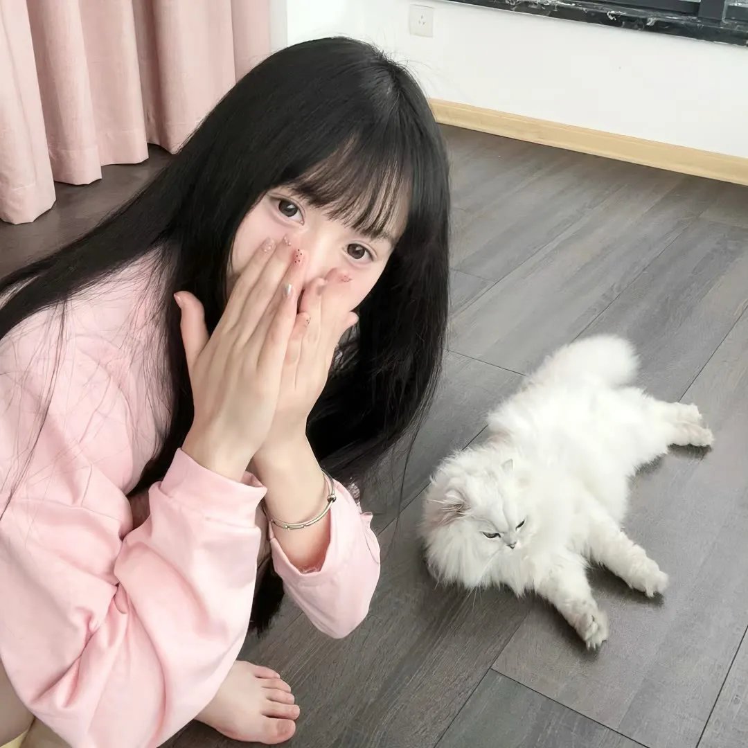 疯狂衣橱第一季